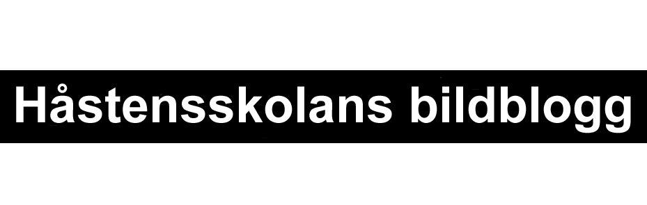 Håstensskolans bildblogg