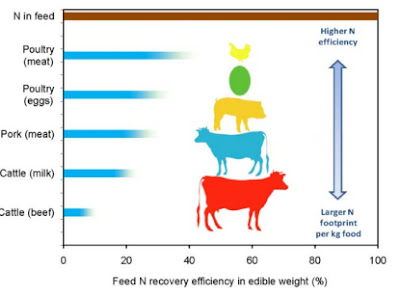 Assessing Changing Food Consumption Patterns