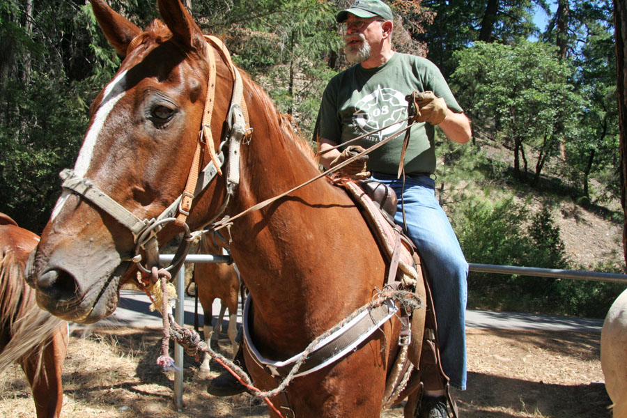 'Round the Chuckbox Horse ridin' chef