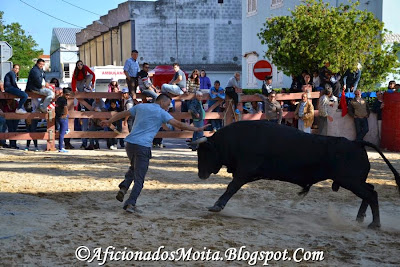 https://picasaweb.google.com/112628067891720623695/MoitaDoRibatejoLargadaDeToirosReportagemFotografica17h240514#slideshow/6017125209087270626