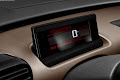 C4 Cactus
