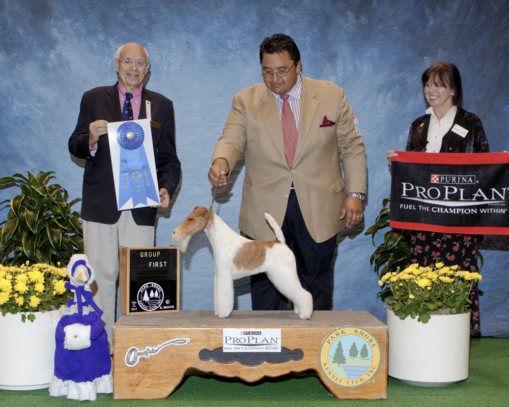olympic kennel club