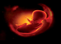 infanticide essays infanticide essays