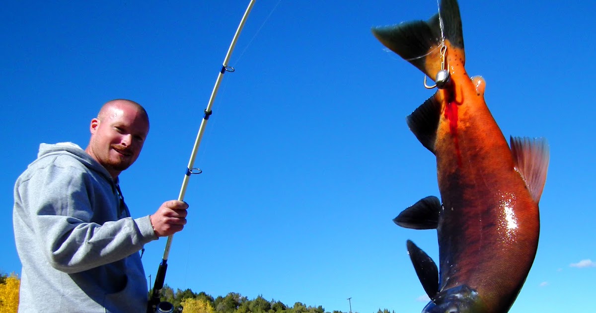 OUTDOORS NM Salmon Snagging Season is On!