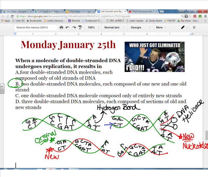EC Honors Biology: Monday and Tuesday January 25th and 26th - DNA
