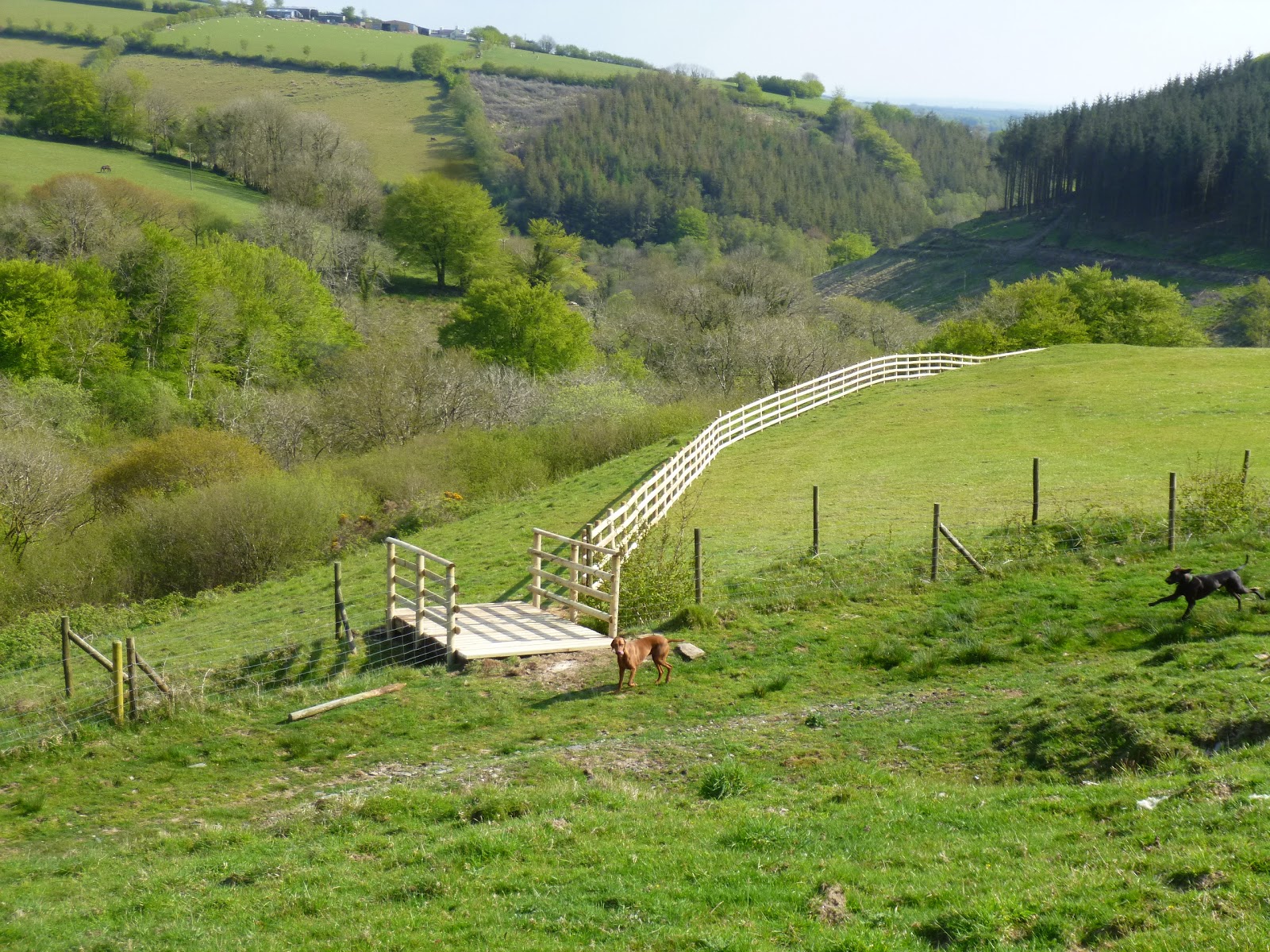 Rockley Farm Bridgebuilding weekend