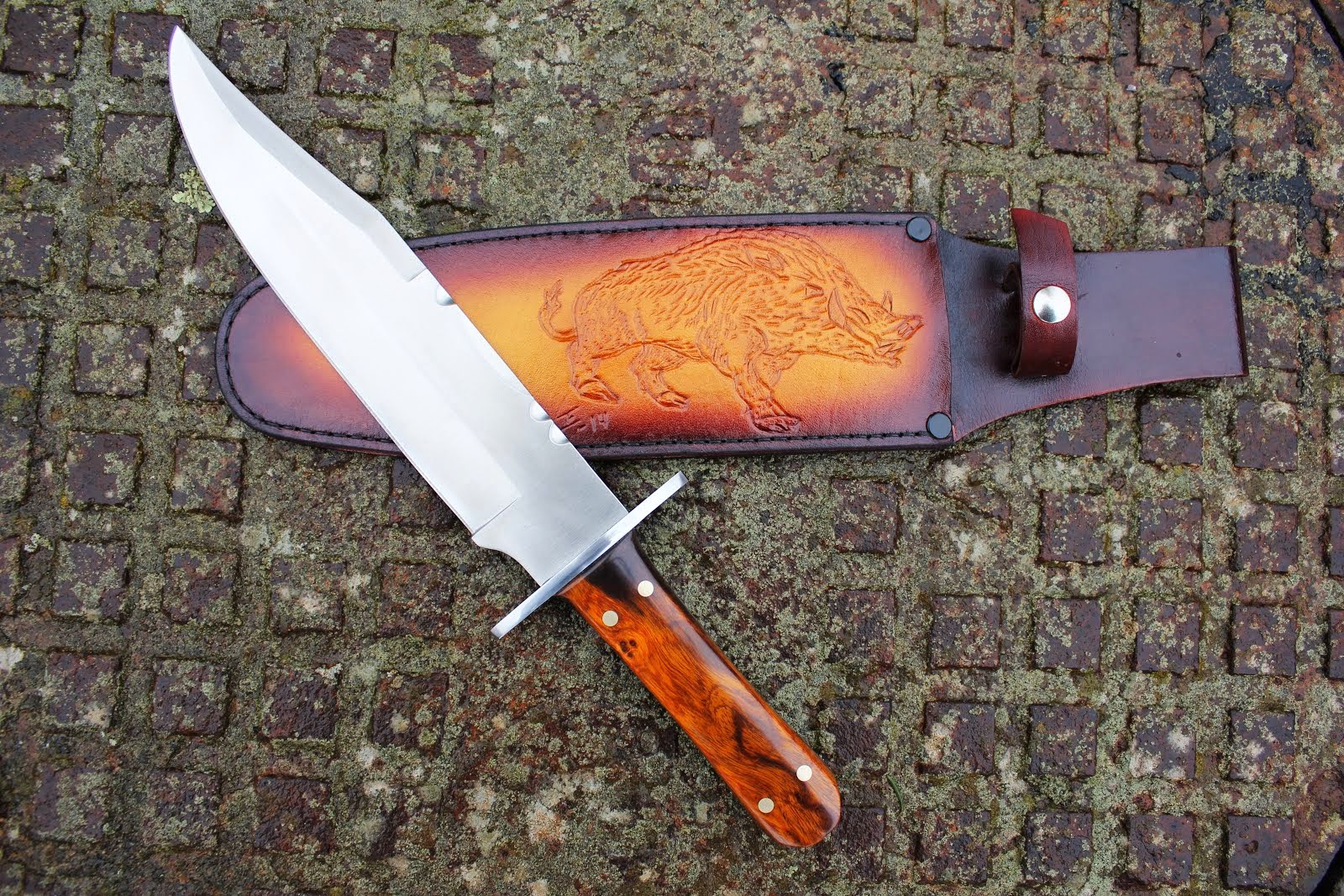 Wildboar bowie