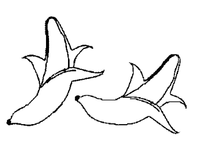 Fruits Coloring Sheet Pictures | Learn To Coloring