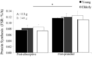 Proteína por toma y ganancia muscular - Blog de nutrición Proteína por toma y ganancia muscular - Blog de nutrición