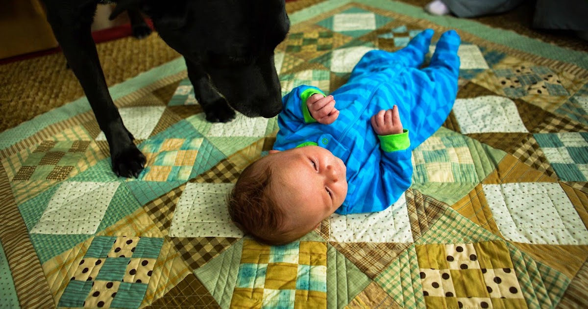 Timeless Traditions Babies need quilts.....