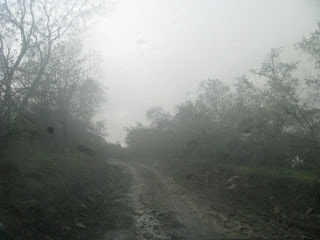 Crossbow-hunting-in-the-Rain-fog