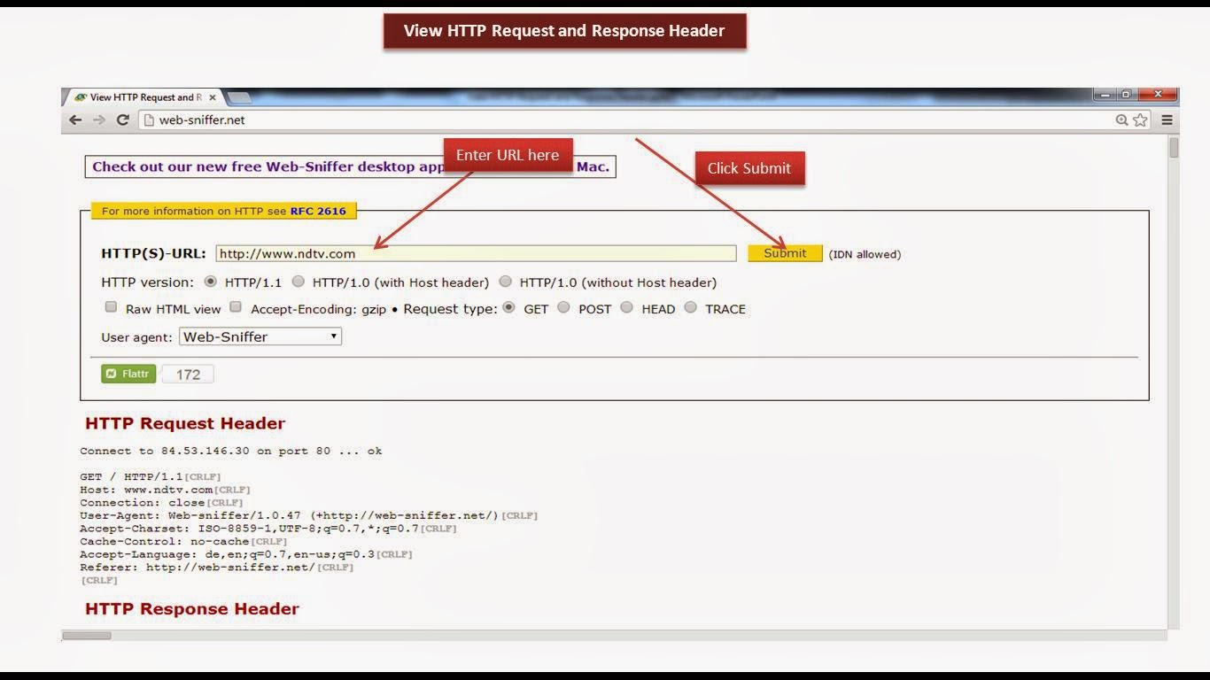JAVA EE View HTTP Request and Response Header web sniffer