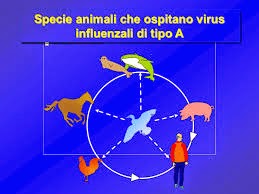 Effetti collaterali da targhe per aumento di una potenzialità