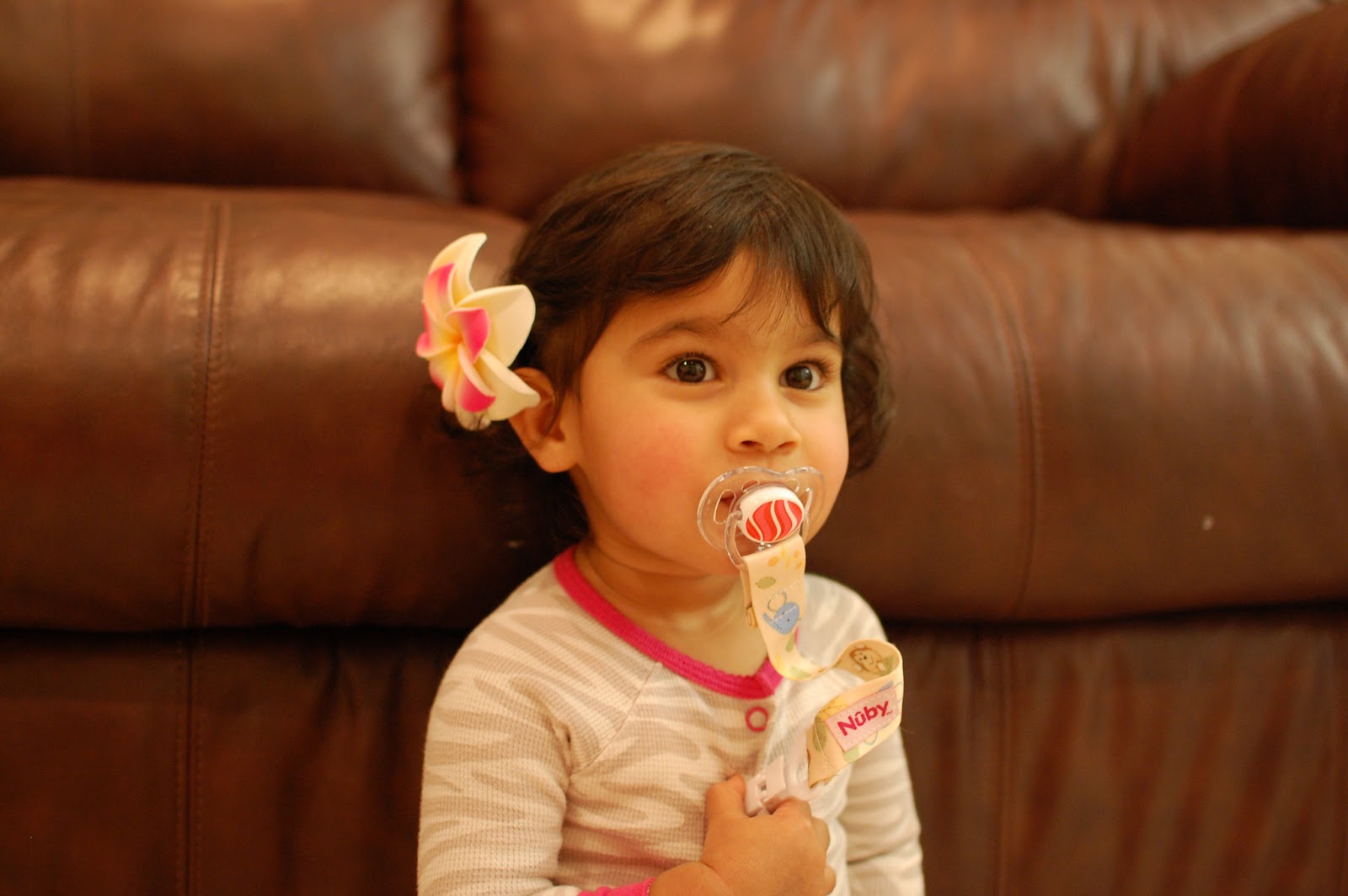 Ditslife Nuby Pacifinder Review