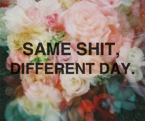 same+shit+different+day.jpg