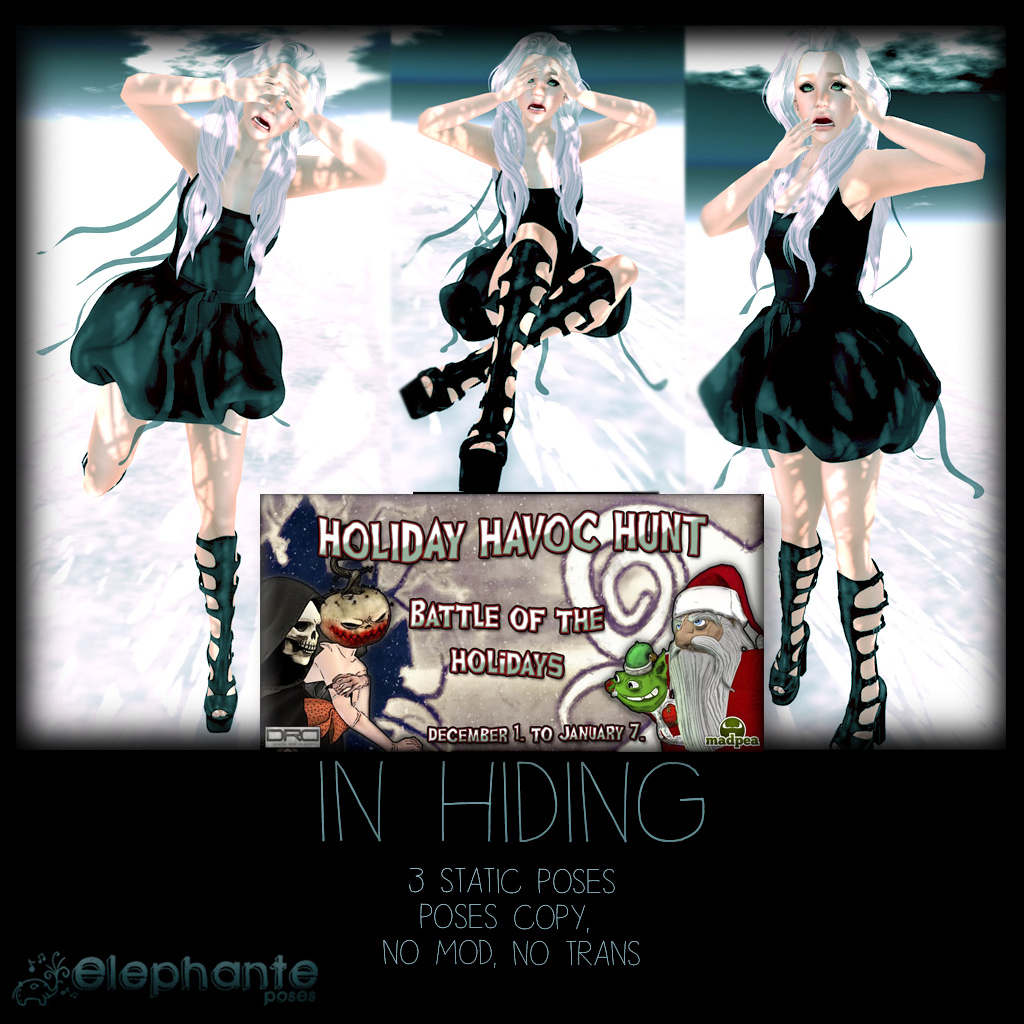 Froogle inc essay 07 image