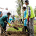 Today, Tirana Municipality Initiative: "Sow a Tree"