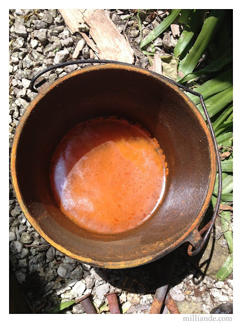 Rust Dye Tutorial, Ecodying with Rust and Botanical Plant Dye Materials at milliande.com, NAtural Dyeing Step by Step Rust Dye Tutorial, Ecodying with Rust and Botanical Plant Dye Materials at milliande.com, NAtural Dyeing Step by Step