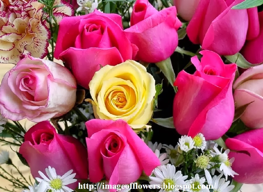 download free flowers