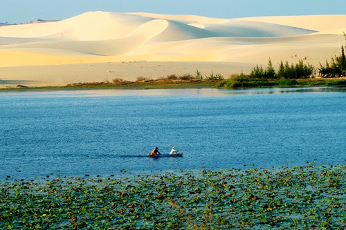 Bàu sen