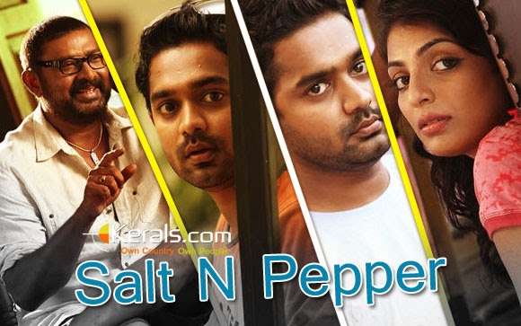 Salt N Pepper Hindi remake: Prakash Rajs Tadka to