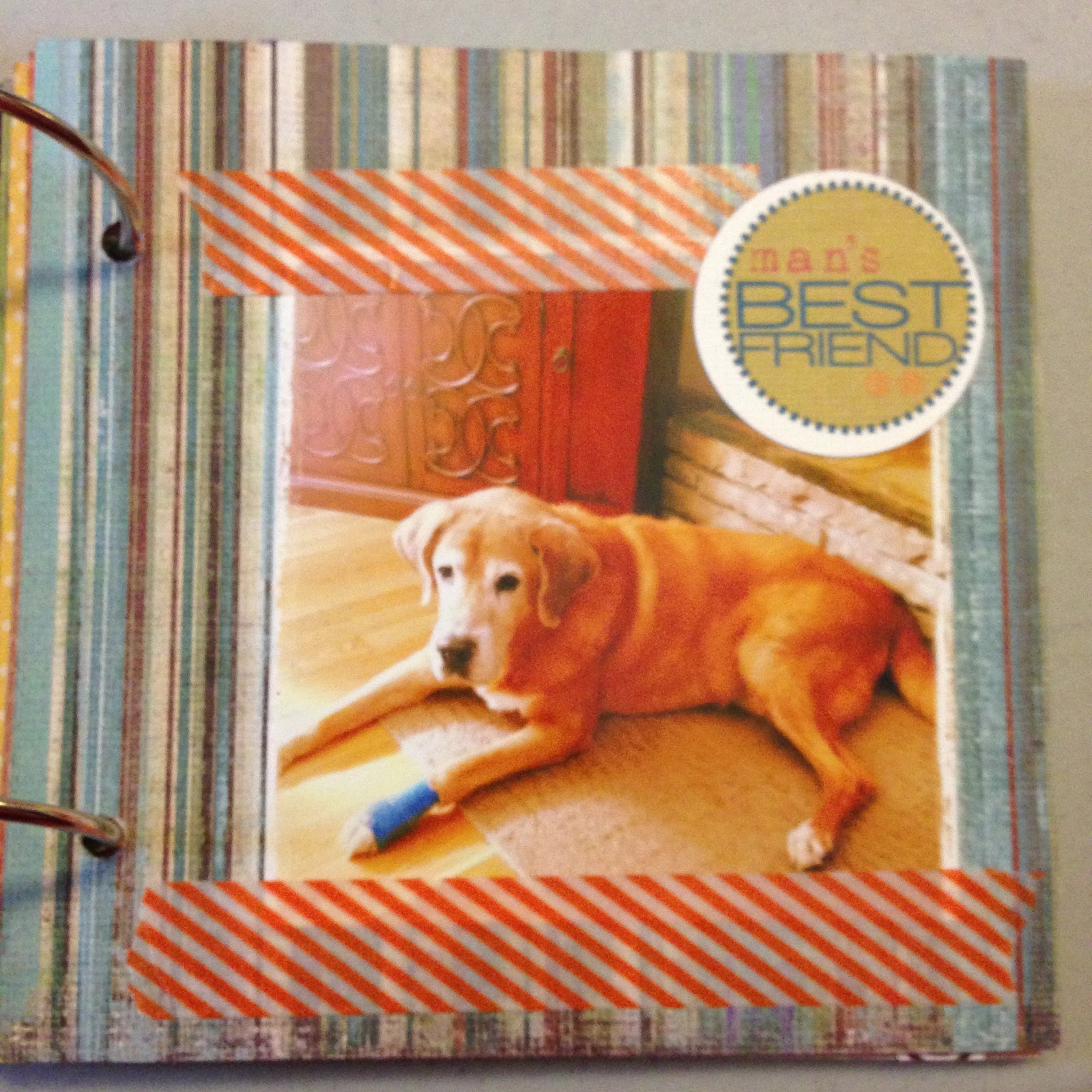 Mrs Crafty Adams Scrapbooking a Mini Book for a pet