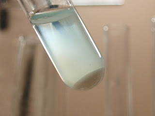 barium sulfate copper precipitate solution test color tube blue scientist again another look