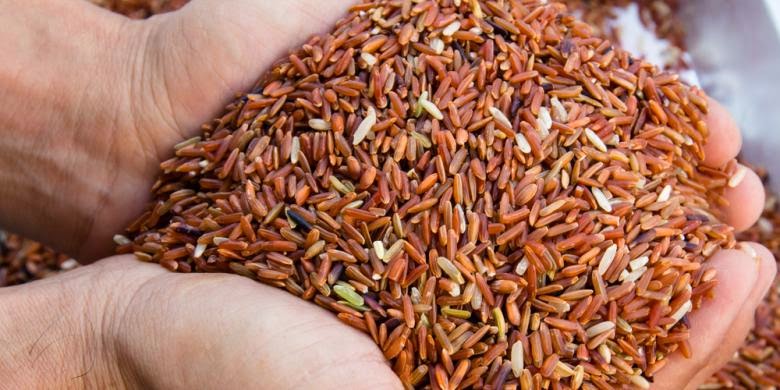 Image Result For Beras Basmati Image Result For Beras Basmati