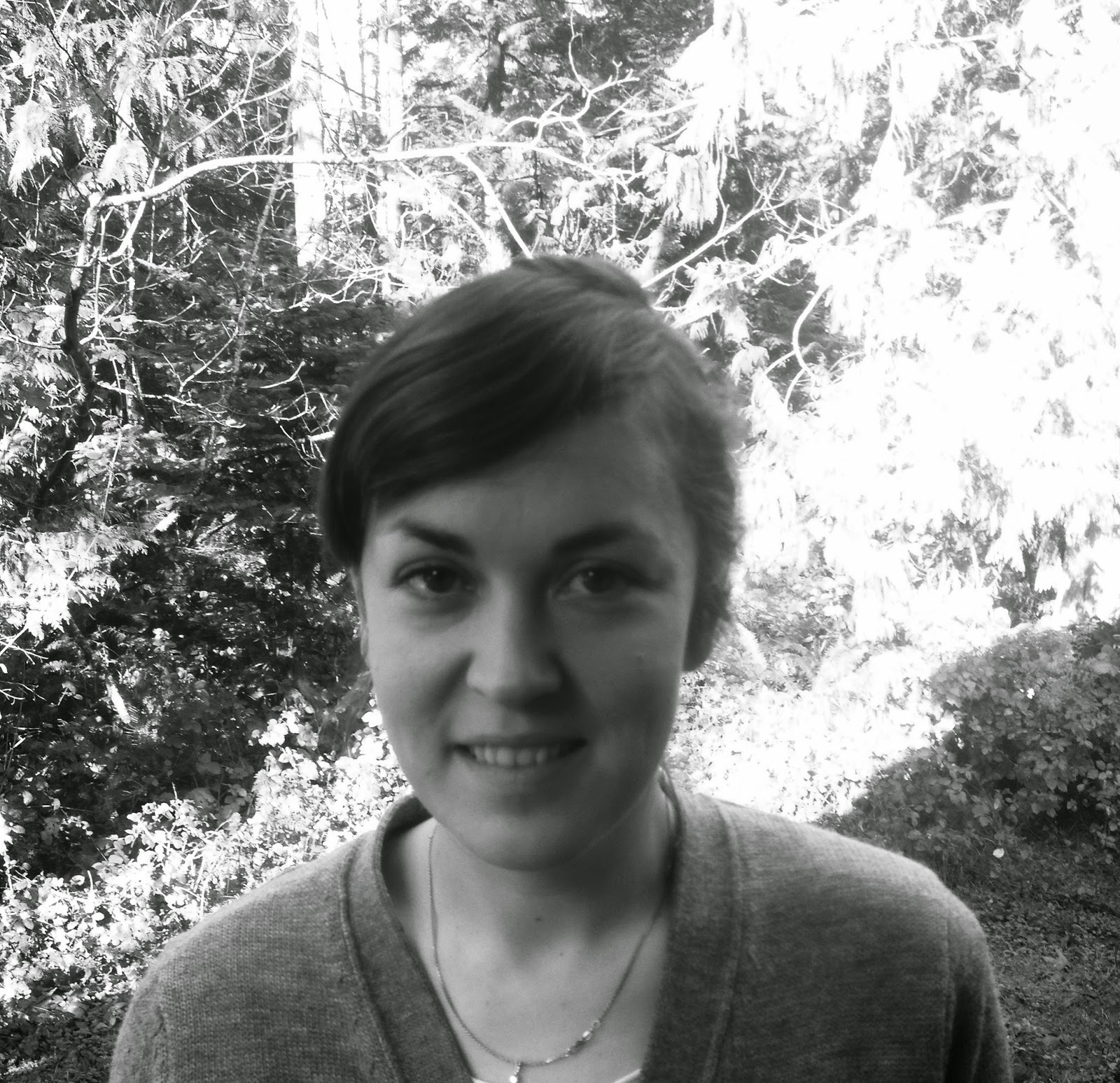 rob mclennan s blog 12 or 20 second series questions with amber