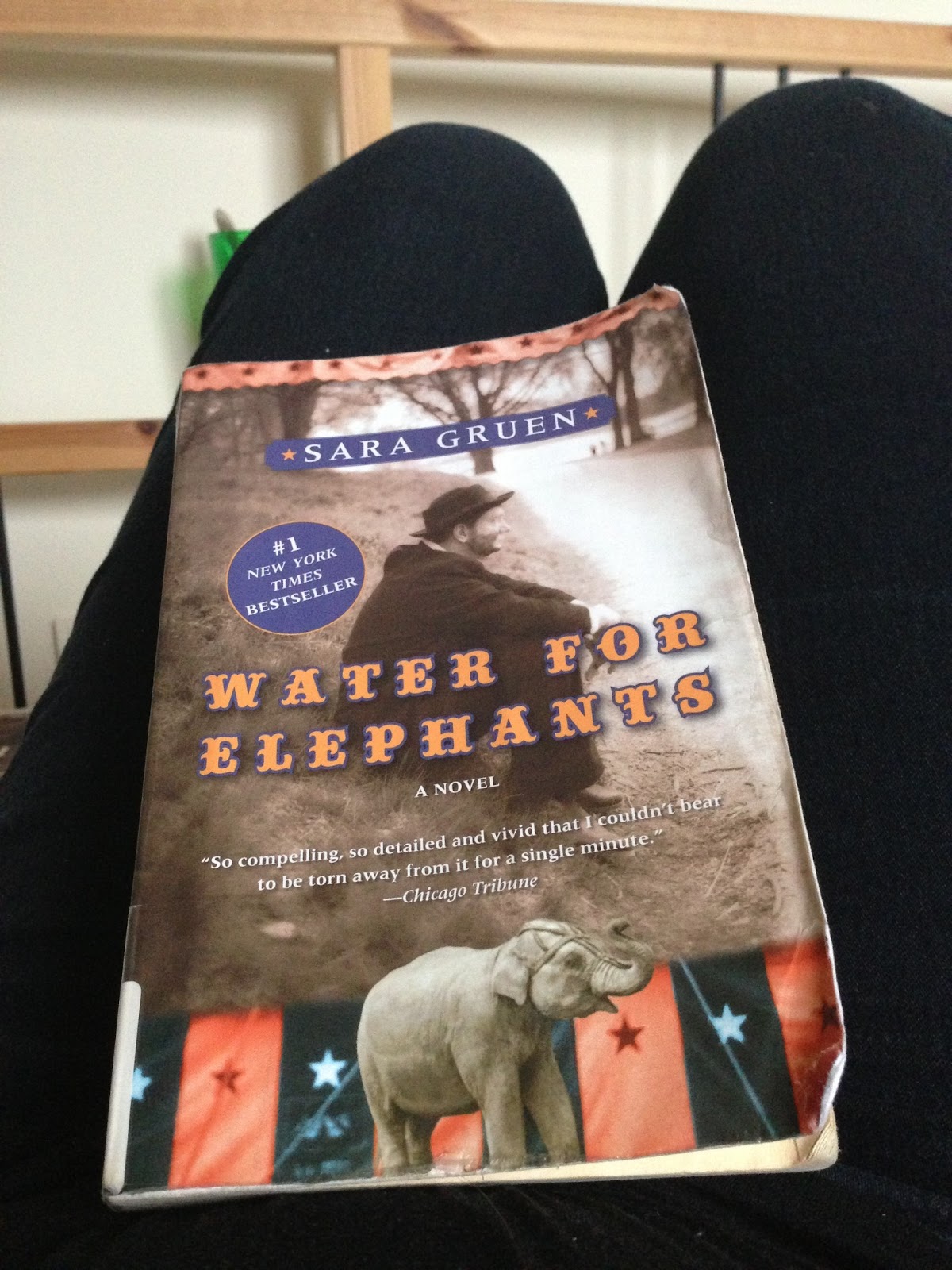 i Live Literary Review Water for Elephants