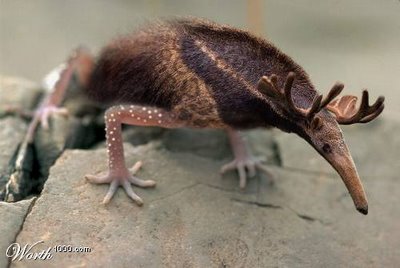 Habitat Di Mana Mereka Hidup Hewan Hewan Ini Pun Sebagai Besar Ditemukan Dalam Keadaan Mati Ataupun Terdampar Berikut Hewan Hewan Langka Tersebut Habitat Di Mana Mereka Hidup Hewan Hewan Ini Pun Sebagai Besar Ditemukan Dalam Keadaan Mati Ataupun Terdampar Berikut Hewan Hewan Langka Tersebut