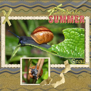 pbs-SummerTimeAO-Nelleke 1-Snail