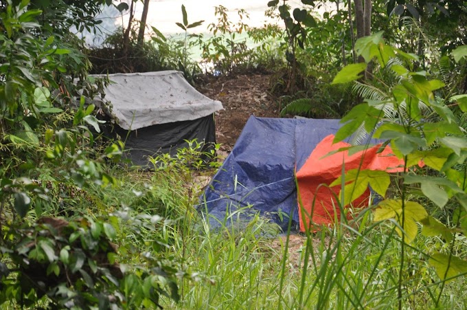 Masyarakat Sabah Diminta Tidak Lindungi Pendatang Asing Tanpa Izin- Ruji Ubi