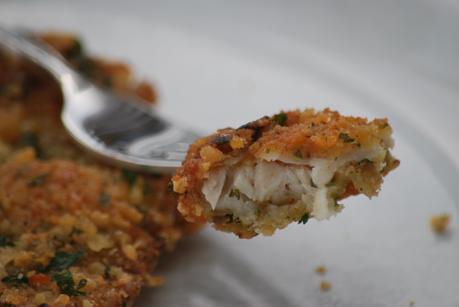 My story in recipes Cracker and Parmesan Crusted Trout