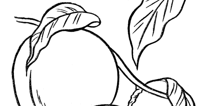 Peaches Coloring Pages Picture | Learn To Coloring