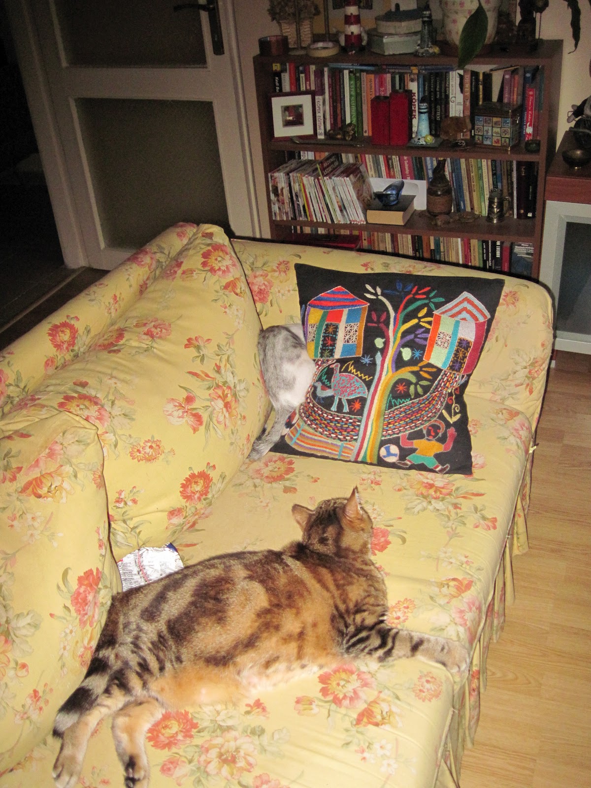 dokuz canlı kedi Ateş Kaptan�ın Seyir Defteri 3