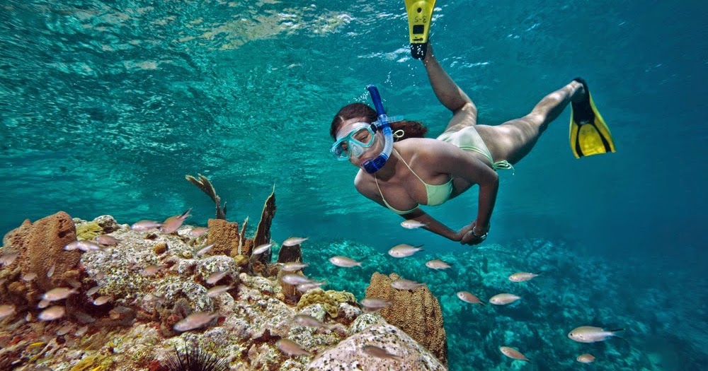 Dive Grenada, Grenada's PADI 5 Star Scuba Dive & Snorkel Center Snorkel Grenada