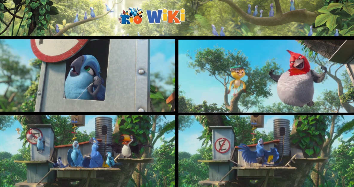 Watch Rio 2 Online Hitfix Watch Rio 2 Online Hitfix