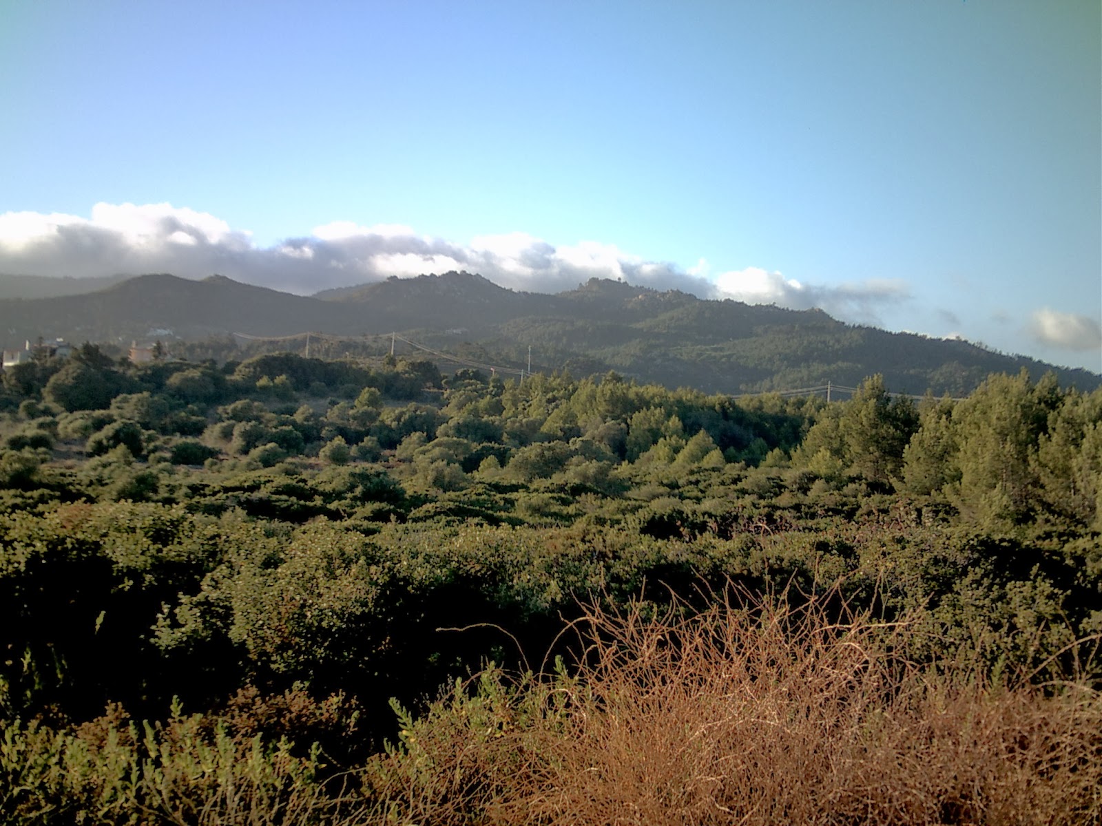 PINTOrLOPES SERRA SINTRA ARREDORES