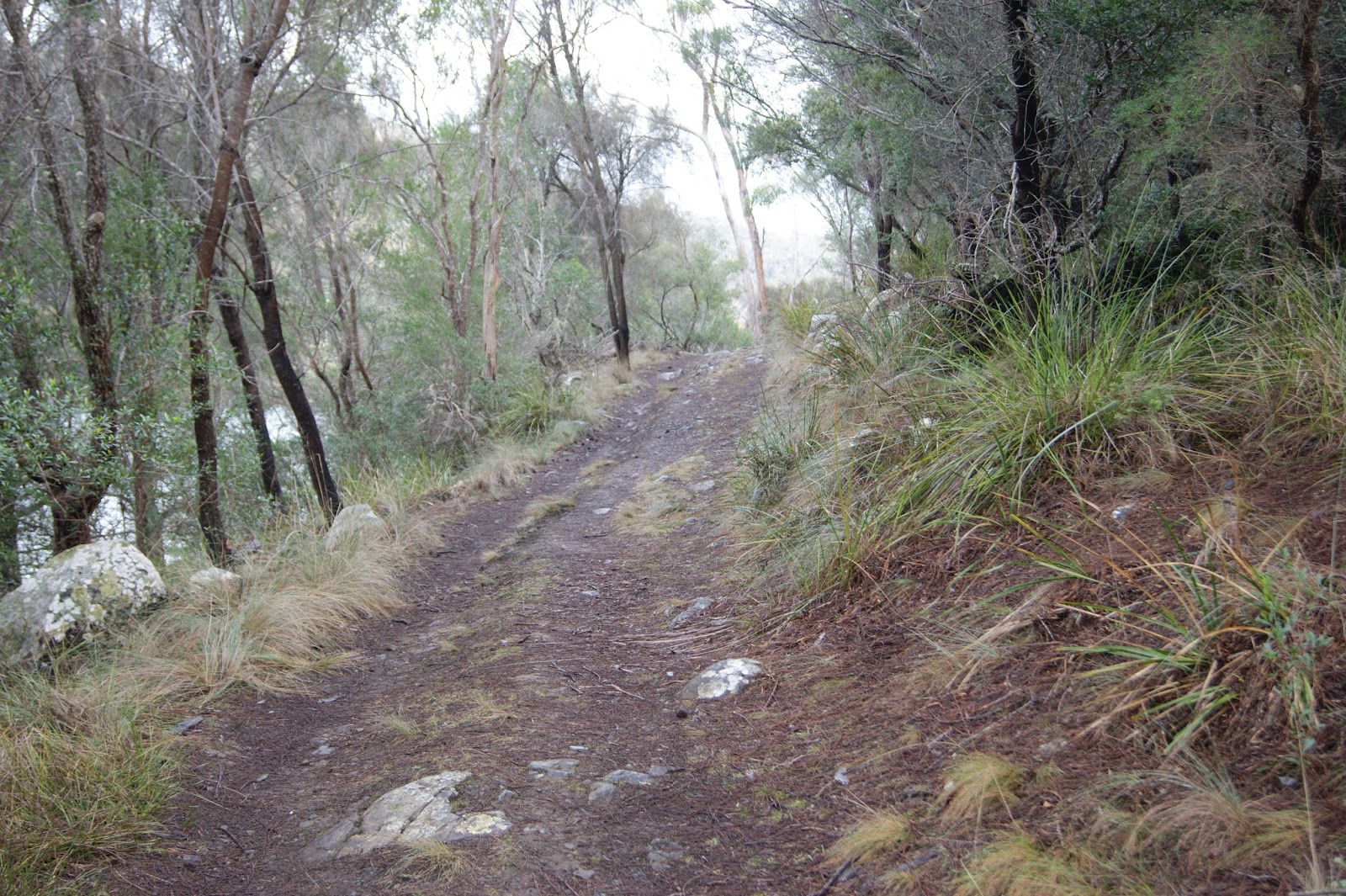 On The Convict Trail Old Convict Road, Orford