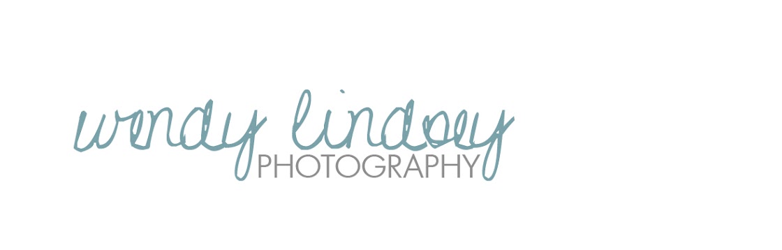 Wendy Lindsey Photography