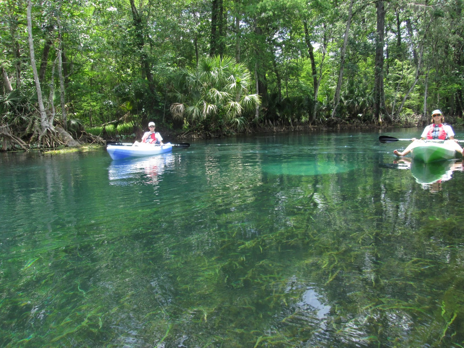 Central Florida Kayak Tours Kayaking with the wildlife on the Silver