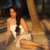 Bollywood & South Actresses in CCL Calendar Shoot