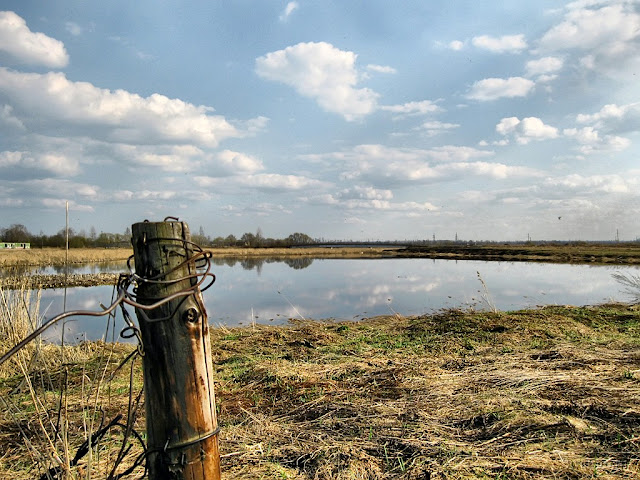 Река Ижора.п.Тельмана