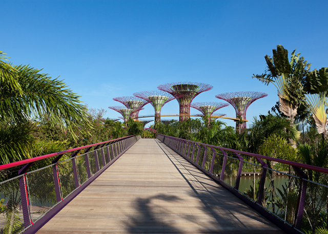 O prédio com jardim vertical interior foi eleito a construção do ano