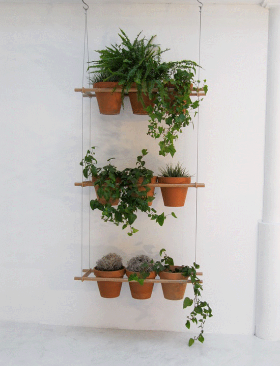 Etcetera Window Box Poppytalk