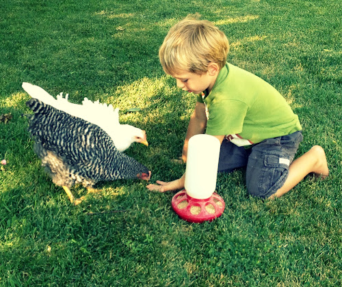 Kids & Pets {Lessons Learned} by Blissful Roots
