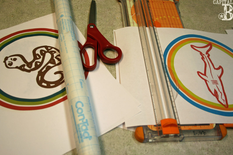 Capital B Water Gun Targets 3.0