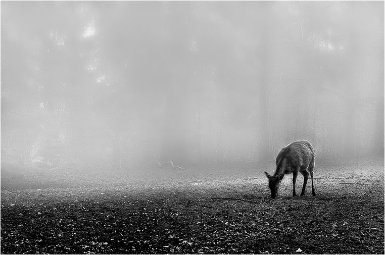 Compact Camera, Best Photo of the Day in Emphoka by Ralph Kellenberger, Leica X2, https://flic.kr/p/gC3GJk Compact Camera, Best Photo of the Day in Emphoka by Ralph Kellenberger, Leica X2, https://flic.kr/p/gC3GJk