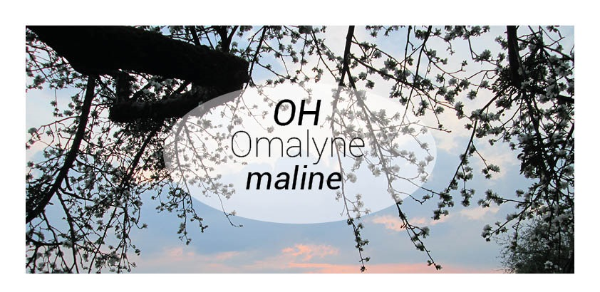 Le Blog d'Omalyne